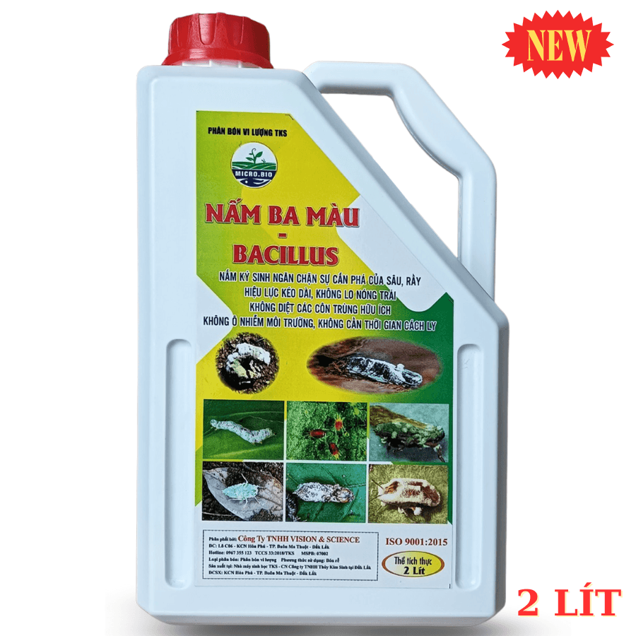 Nấm 3 Màu Bacillus TKS – Ngăn Chặn Cắn Phá Của Côn Trùng