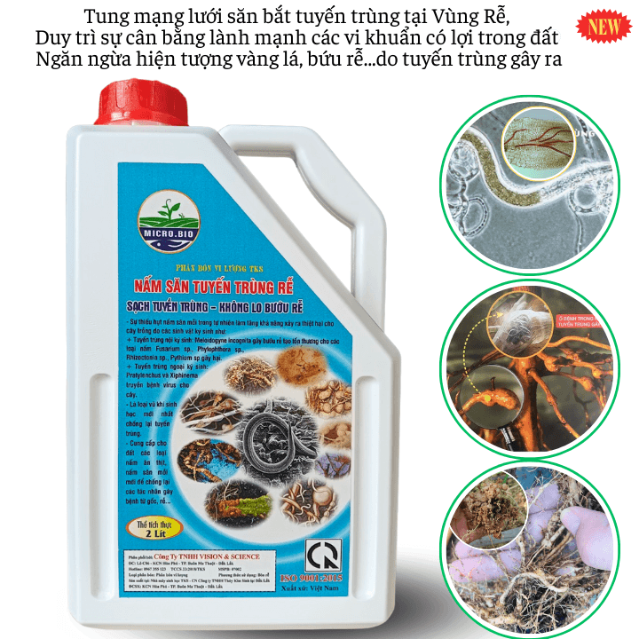 Đặc Trị Tuyến Trùng - Nấm Săn Tuyến Trùng - Bứu Rễ U Sưng