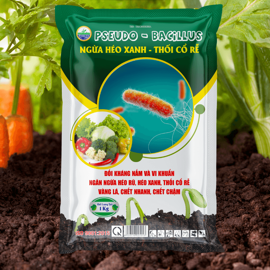 Pseudo Bacillus Trừ bệnh Héo Xanh, Vàng Lá, Thối Cổ Rễ Pseudo Bacillus Trừ bệnh Héo Xanh, Vàng Lá, Thối Cổ Rễ