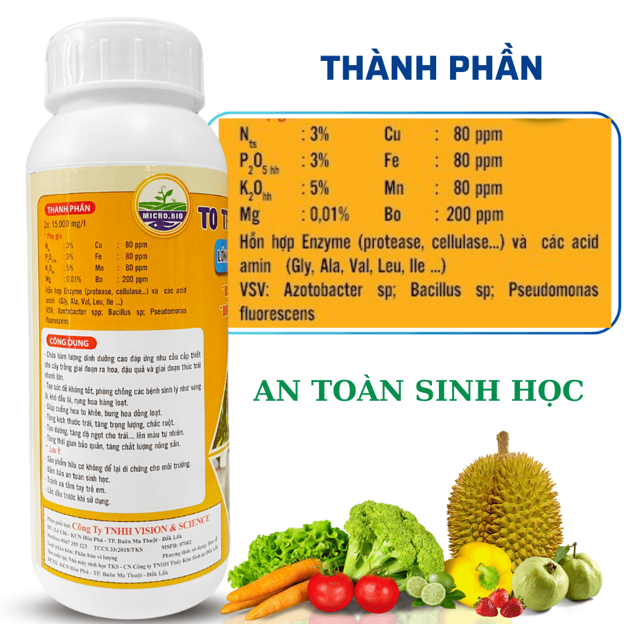 To Trái Bóng Trái TKS – Dưỡng Trái Lớn, Chín Đều, Nặng Ký