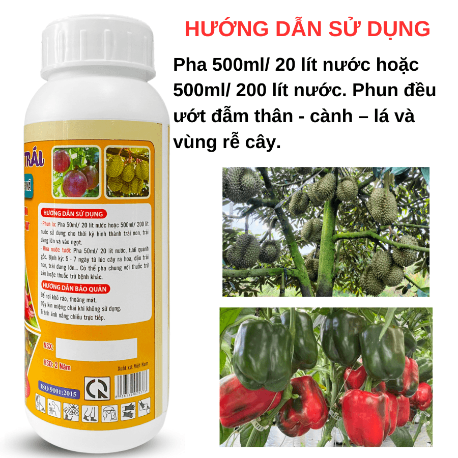 To Trái Bóng Trái TKS – Dưỡng Trái Lớn, Chín Đều, Nặng Ký