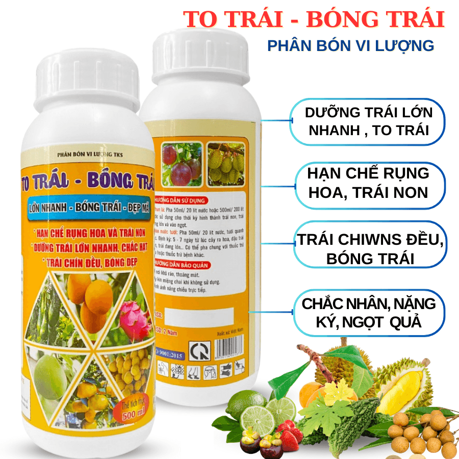 To Trái Bóng Trái TKS – Dưỡng Trái Lớn, Chín Đều, Nặng Ký