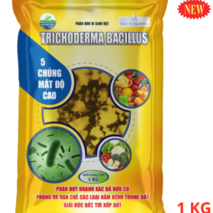 Trichoderma bacillus 1kg: Phòng Nấm Bệnh Trong Đất Dạng Bột Hòa Tan