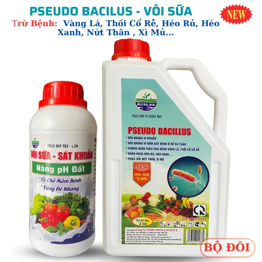 Pseudo Bacillus Chế Phẩm Trừ Bệnh Héo Xanh, Thối Rễ, Vàng Lá - 2 Lít - Hình ảnh 6