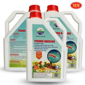 Thuốc Pseudo Bacillus Phòng Nấm, Vàng Lá, Thối Rễ - Chế Phẩm Sinh Học TKS