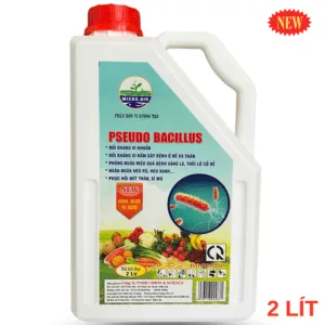 Thuốc Pseudo Bacillus Phòng Nấm, Vàng Lá, Thối Rễ - Chế Phẩm Sinh Học TKS