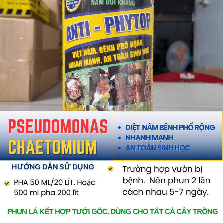 ANTI PHYTOP: Thuốc diệt nấm phổ rộng (Chaetomium + Pseudomonas)