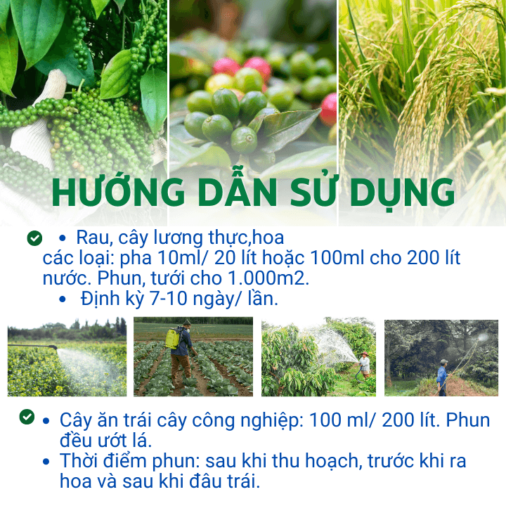 Phân Bón Lá Vi Lượng TKS Combi Amino Siêu Tăng Trưởng