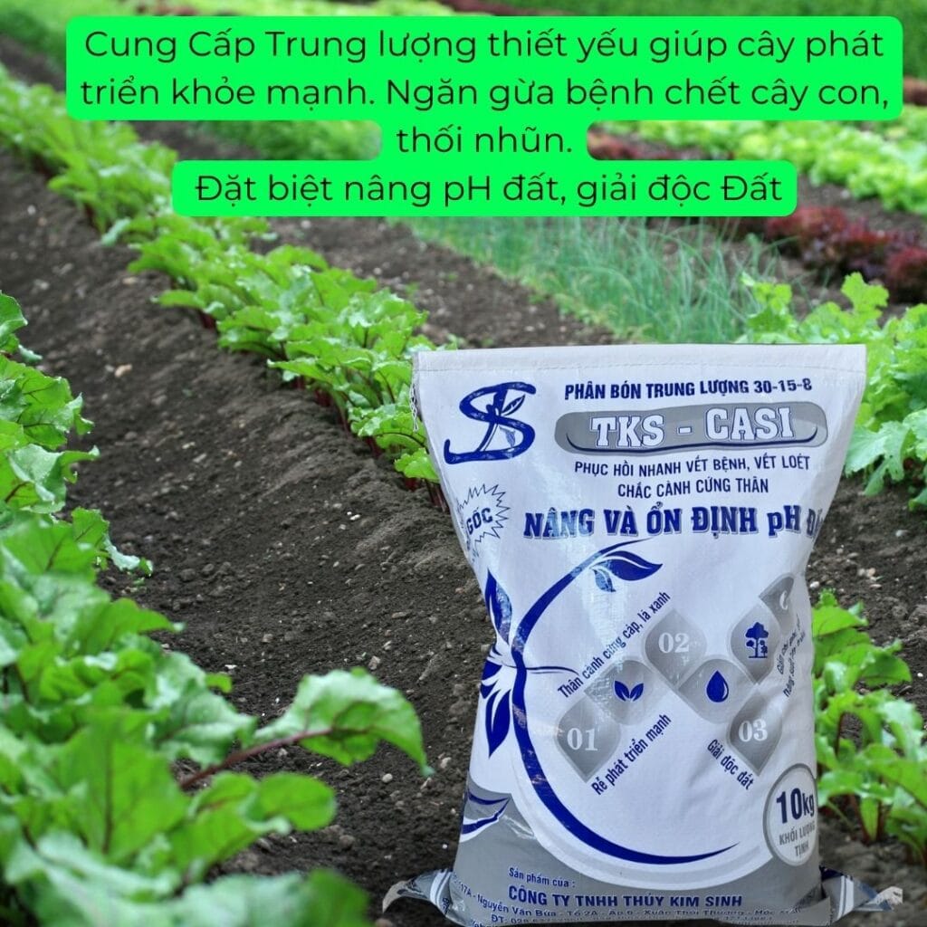 Phân Bón Trung Lượng Nâng Và Ổn Định PH Đất