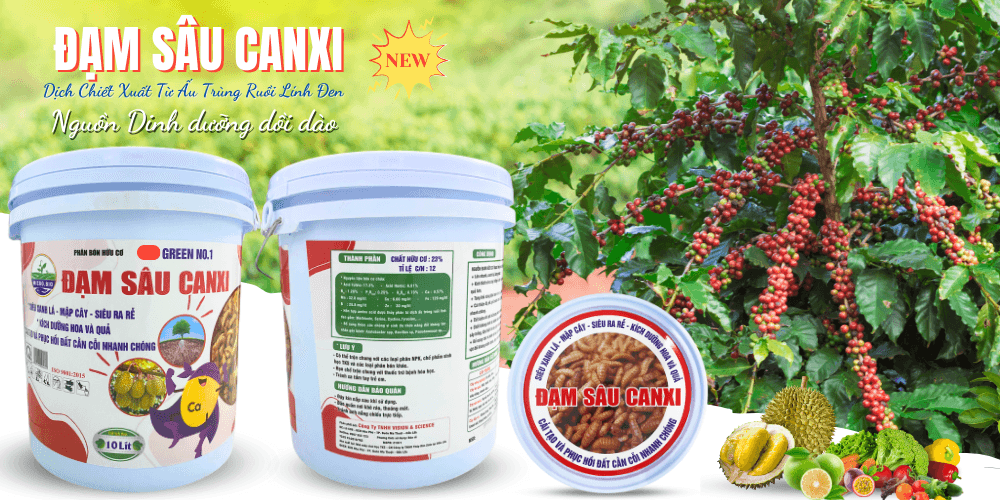 DỊCH ĐẠM SÂU CANXI Dưỡng Cây, Nuôi Trái, Kích Rễ, Cải Tạo Đất