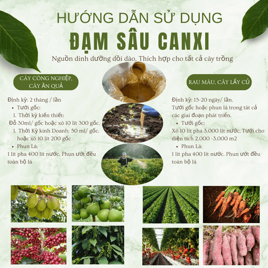 DỊCH ĐẠM SÂU CANXI Dưỡng Cây, Nuôi Trái, Kích Rễ, Cải Tạo Đất