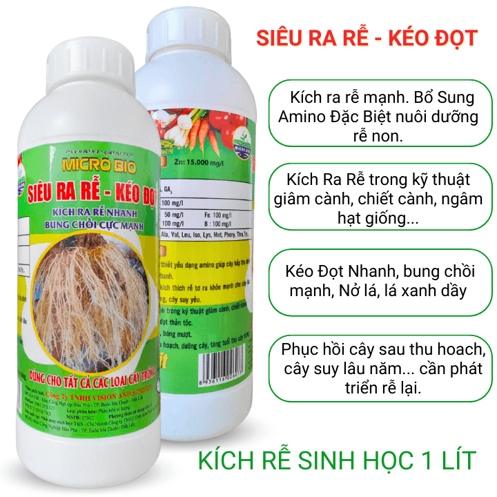 Siêu ra rễ - kéo đọt: Kích rễ mạnh, Bung chồi nhanh