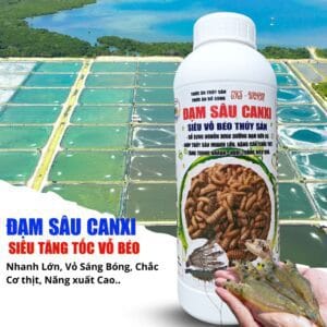 Dịch Đạm Sâu Canxi Siêu Vỗ Béo Cho Tôm, Cá, Lươn, Ếch,...