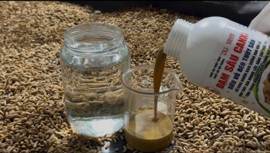 Dịch Đạm Sâu Canxi Siêu Vỗ Béo Cho Tôm, Cá, Lươn, Ếch,...