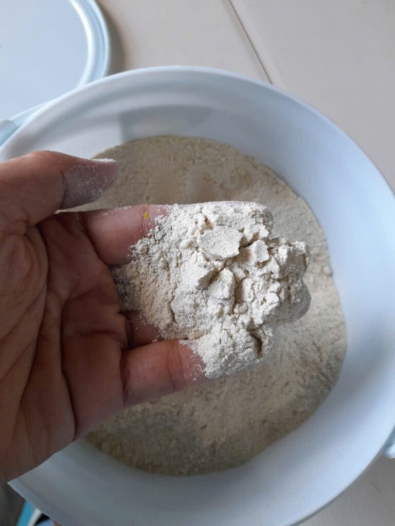 2Kg Nấm 3 Màu Ký Sinh Đặc Trị Rệp Sáp