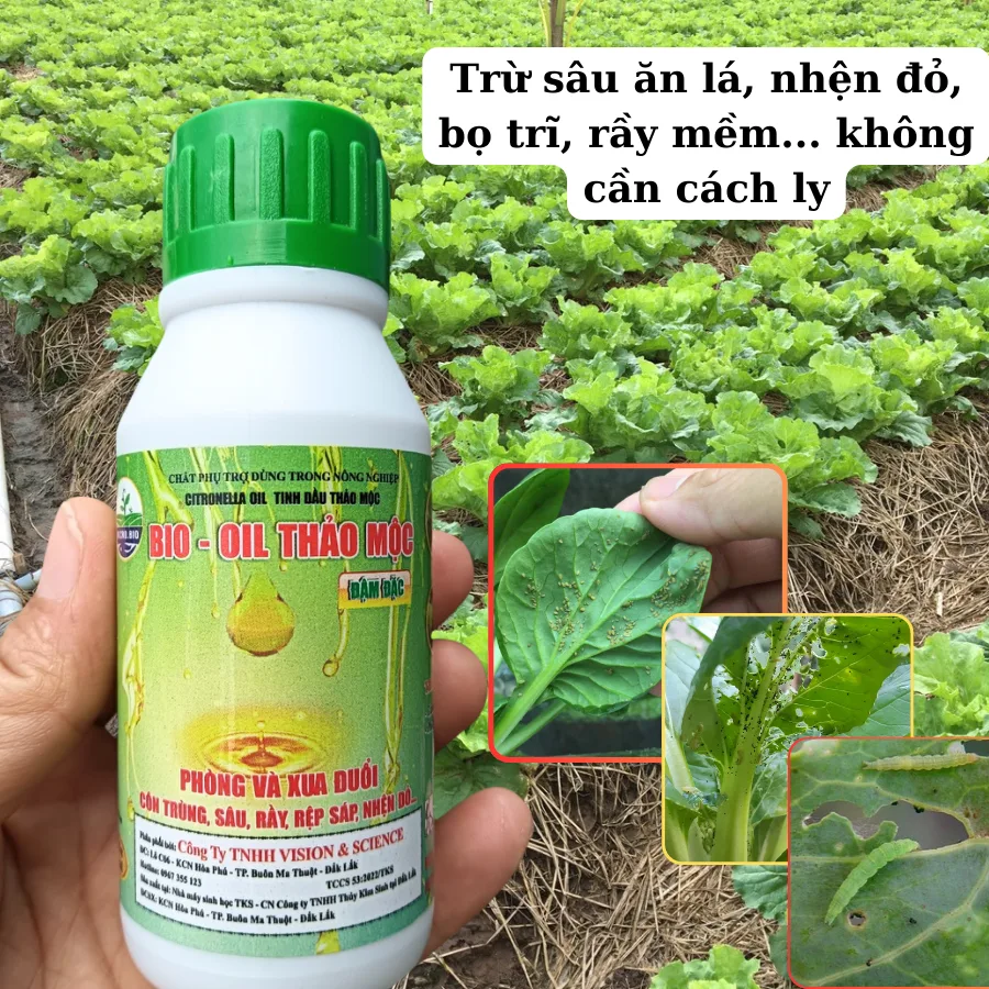 Tinh Dầu Thảo Mộc Trừ Sâu Bio Oil - Xua Đuổi Côn Trùng Hiệu Quả Tinh Dầu Thảo Mộc Trừ Sâu Bio Oil - Xua Đuổi Côn Trùng Hiệu Quả