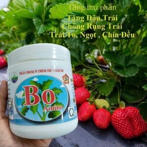 bAO aMINO 250GR C 10