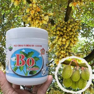 bAO aMINO 250GR C 15