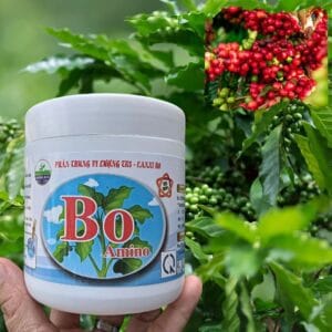 bAO aMINO 250GR C 16
