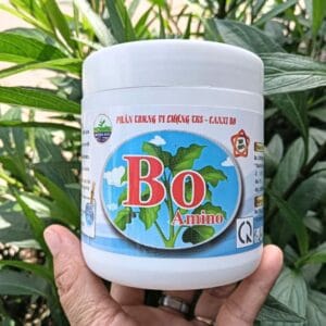 bAO aMINO 250GR C 17
