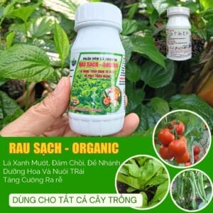 Phân Bón Lá RAU SẠCH Organic Xanh Lá, Mập Cành, Trái Lớn Nhanh