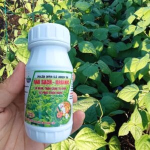 Phân Bón Lá RAU SẠCH Organic Xanh Lá, Mập Cành, Trái Lớn Nhanh