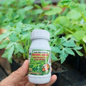 Phân Bón Lá RAU SẠCH Organic Xanh Lá, Mập Cành, Trái Lớn Nhanh