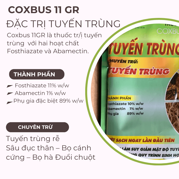 Thuốc trị tuyến trùng dạng hạt: COXBUS 11G