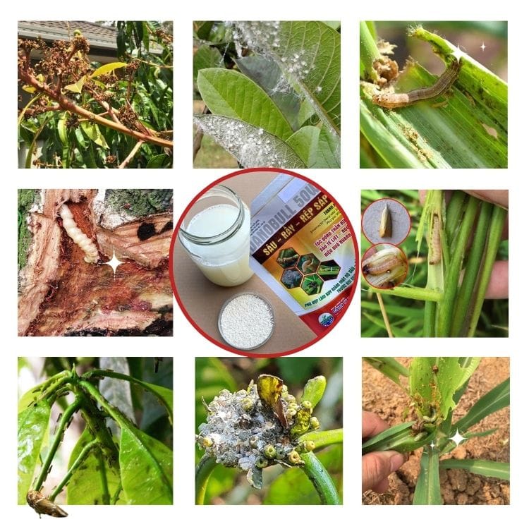 DANOBULL 50WG Trừ Sâu, Rầy, Rệp, Bọ Xít Muỗi Hoạt Chất Emamectin Benzoate