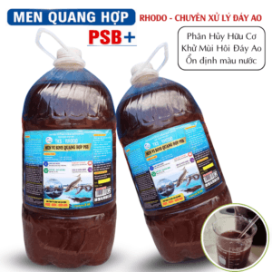 men quang hop pSB 2